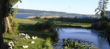 Lake Biel landscape near La Neuveville